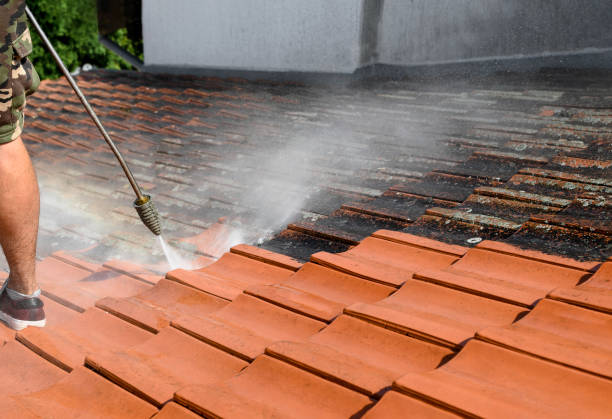 Best Roof Power Washing Services  in Lake Holiday, IN