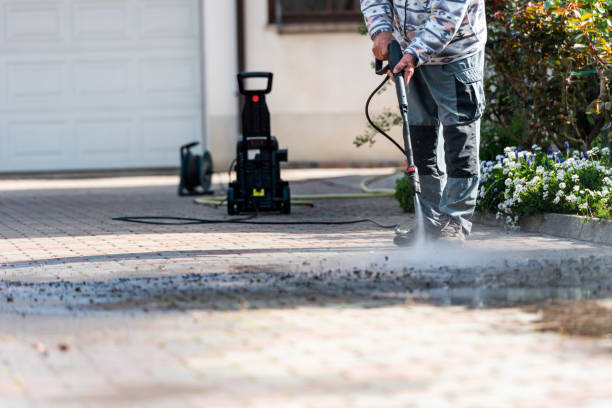 Best Affordable Pressure Washing  in Lake Holiday, IN