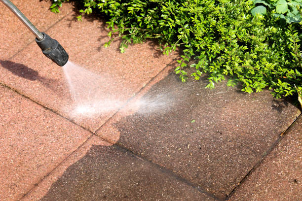 Best Concrete Pressure Washing  in Lake Holiday, IN